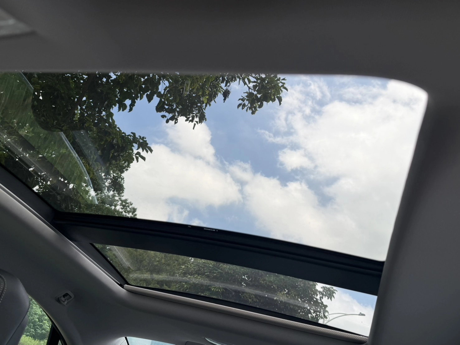 S__143638592_0
